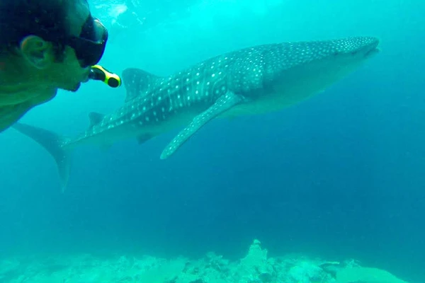 mareck-dupont-plongee-molene-islands-excursions-10